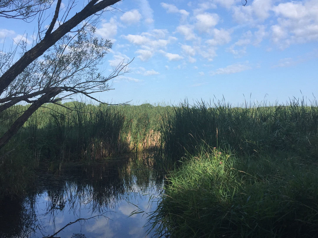 Rice Lake State Park-Owatonna必去景点