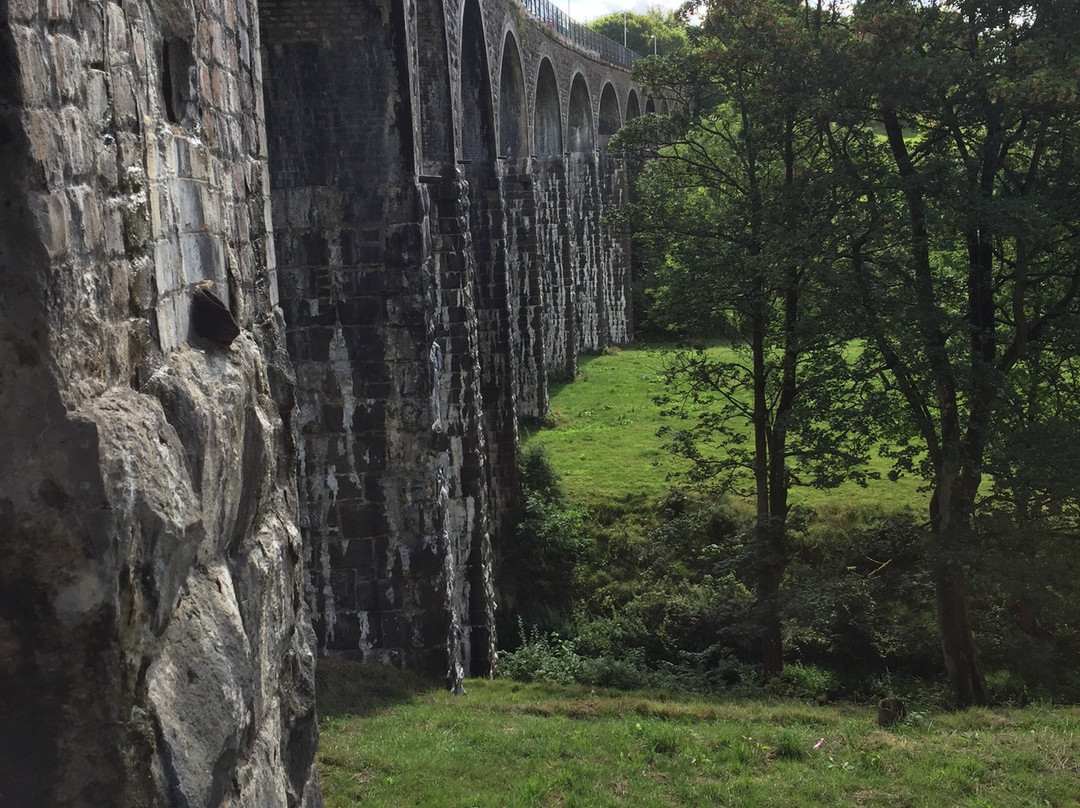 Cabbagehall Railway Viaduct-Kinglassie必去景点