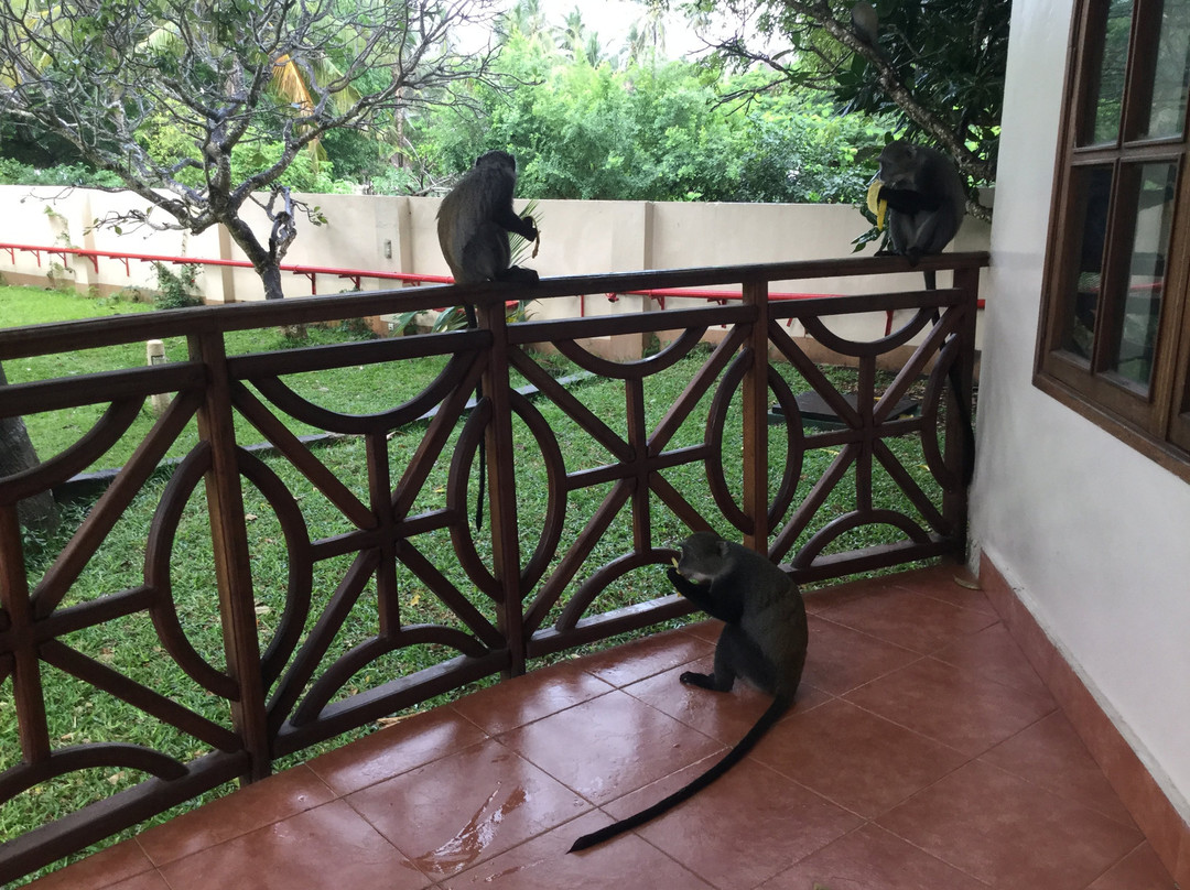 Neptune Paradise Beach Resort & Spa主图