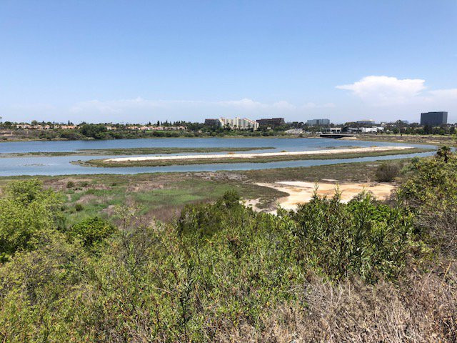 Upper Newport Bay Nature Preserve景点图片