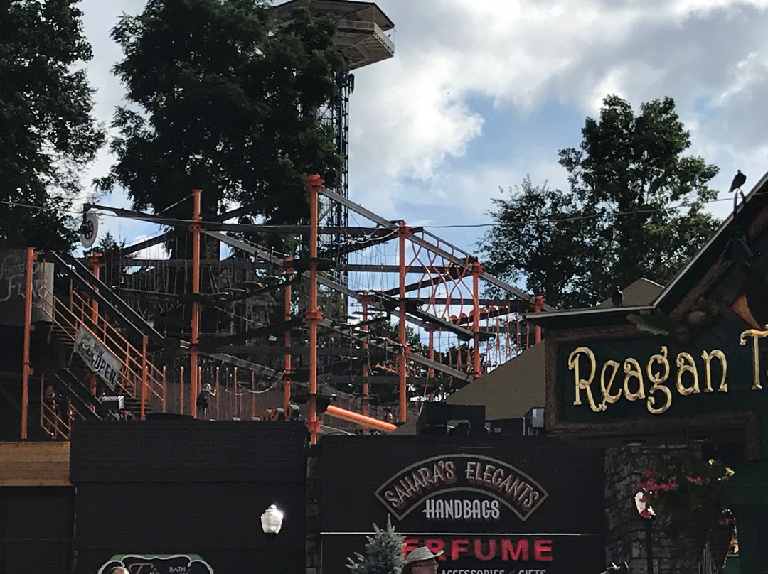 Reagan Terrace Mall-盖林柏格必去景点