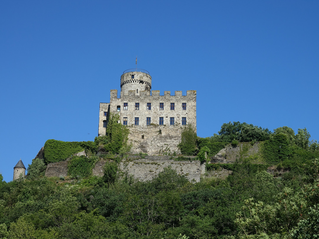 Burg Pyrmont景点图片