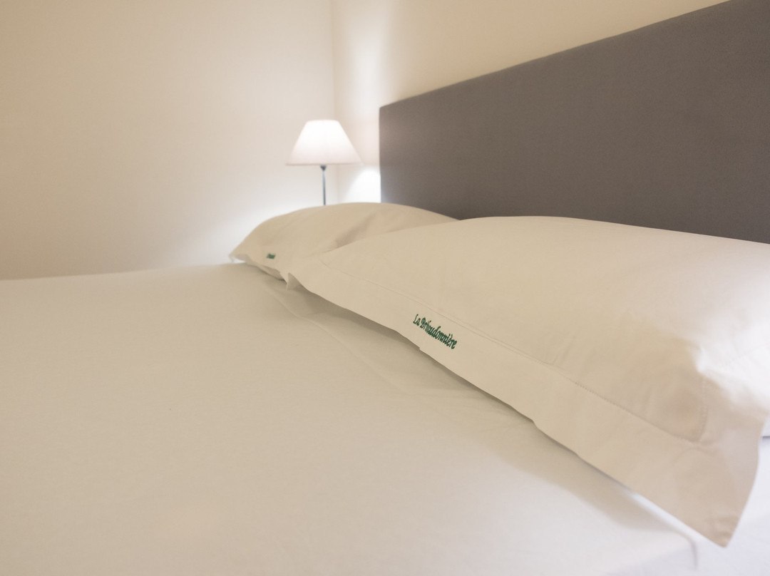 La Bribaudonniere主图