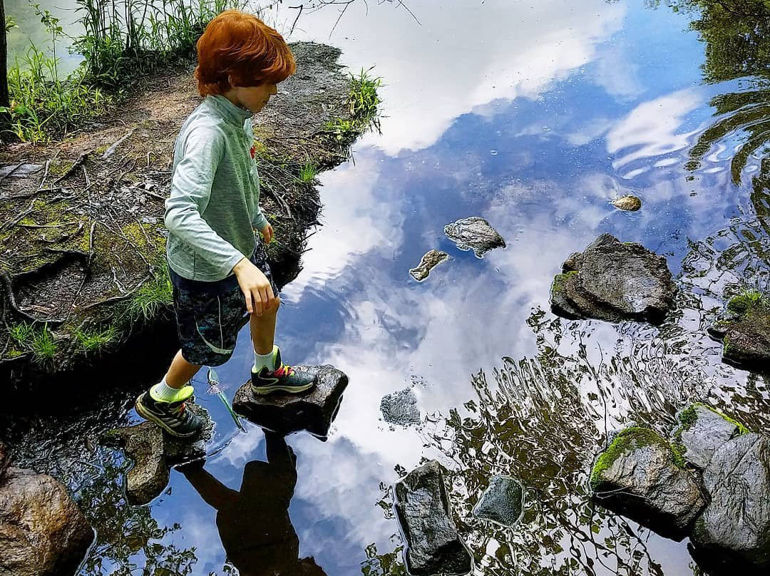 New Canaan Nature Center-New Canaan必去景点