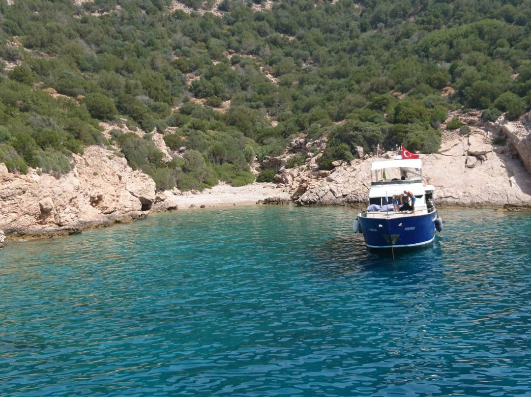 The Aegean Pro Dive Centre景点图片