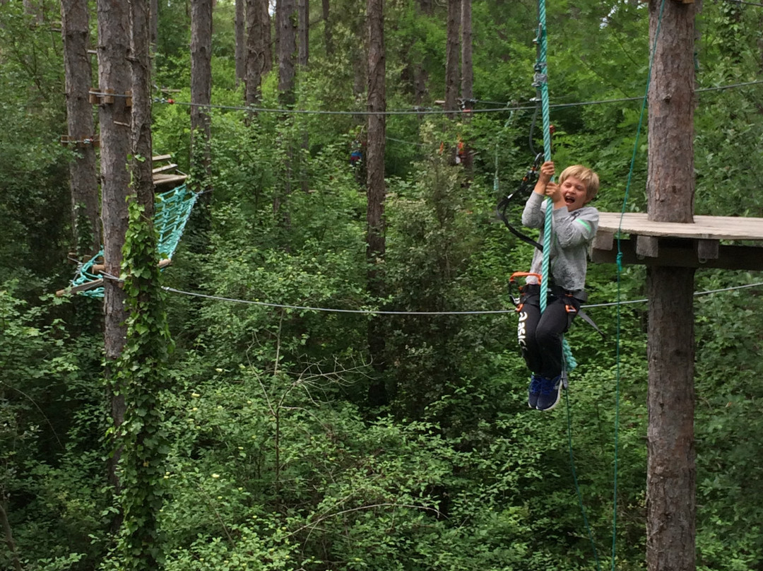 Accro Parc Vallon Pont D'arc景点图片