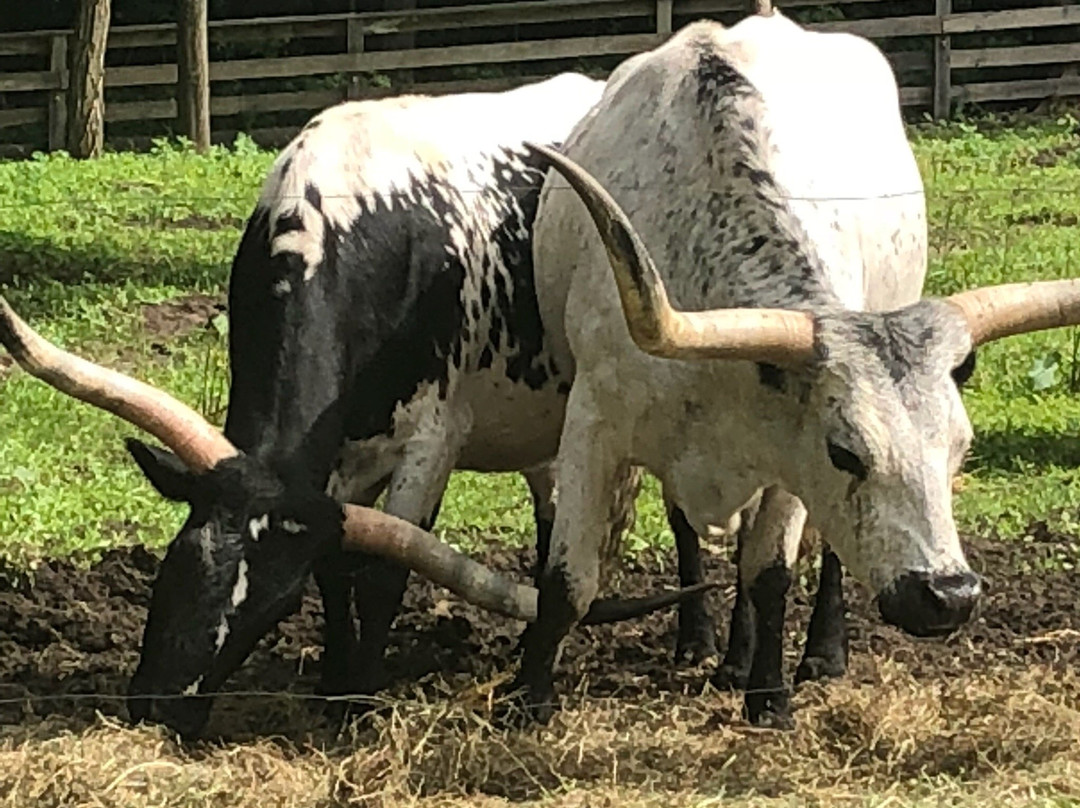 Thorncrest Farm and Milk House Chocolate-Goshen必去景点