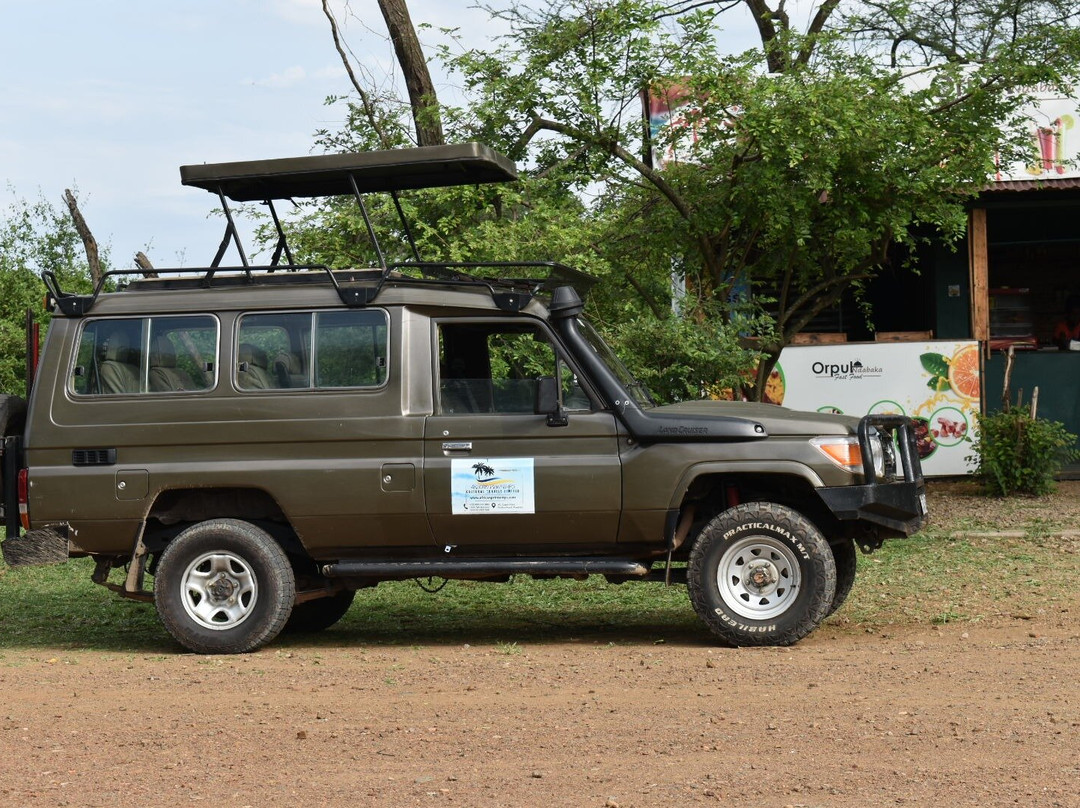 AFRICAN PRINTEMPS CULTURAL TRAVELS LIMITED (APC TRAVELS)-Seronera必去景点