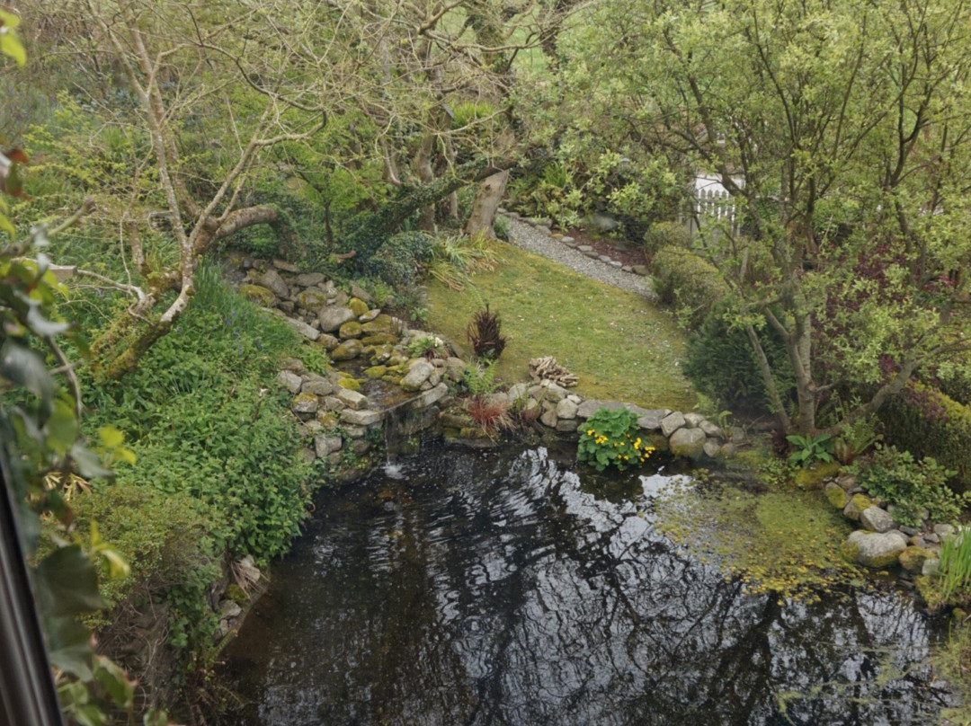 Lough Hyne B & B主图