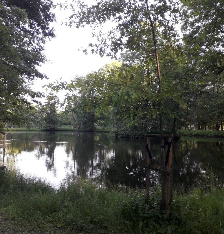 The Potulicki Park景点图片