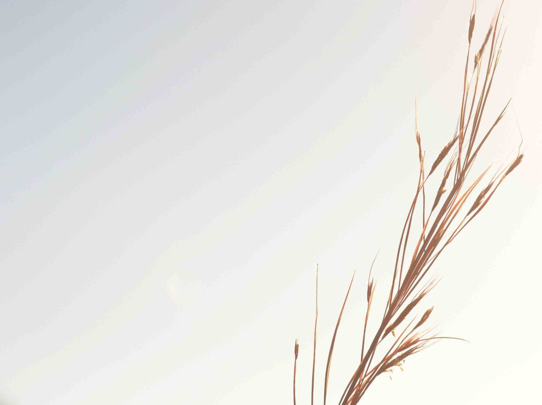 Random Harvest Country Cottages主图