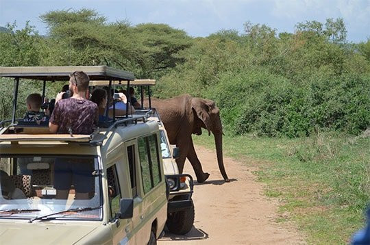 Napanda Tours and Safaris-阿鲁沙必去景点