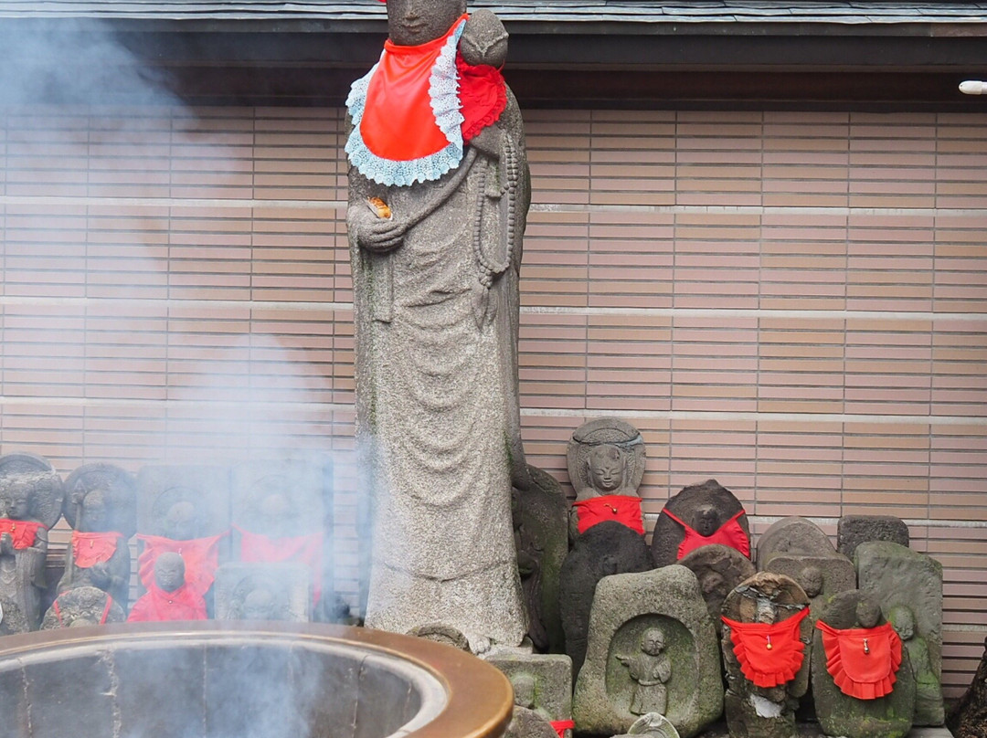 Togenukijizo Kogan Temple景点图片