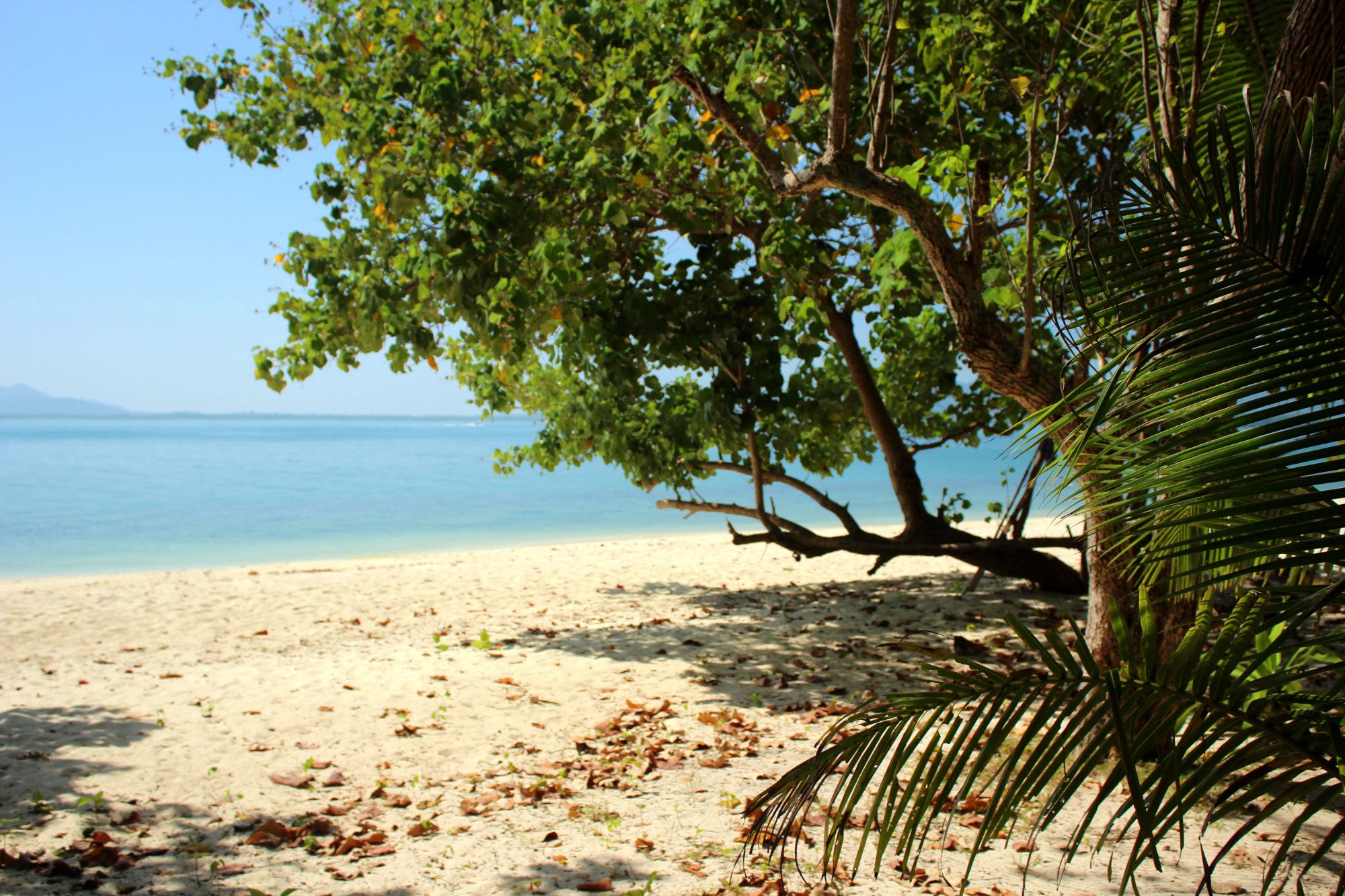 Rang Yai Island-泳池