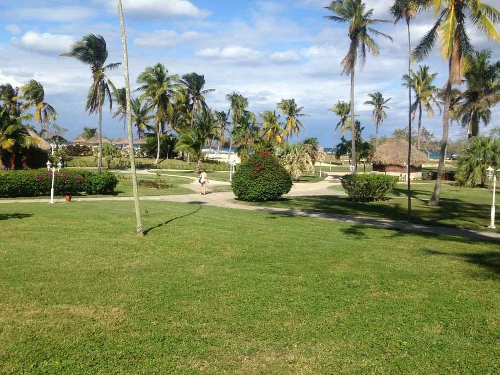 Starfish Jibacoa主图