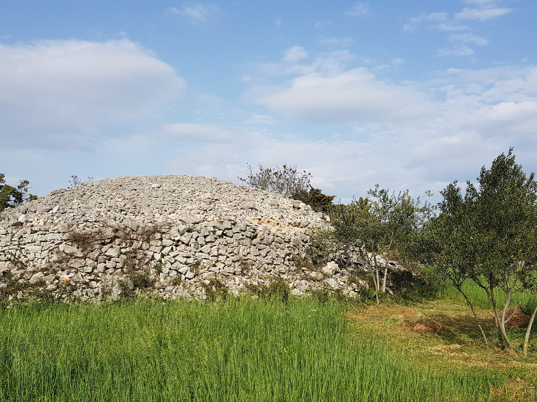 Rakitnica Fortress-佛迪赛必去景点