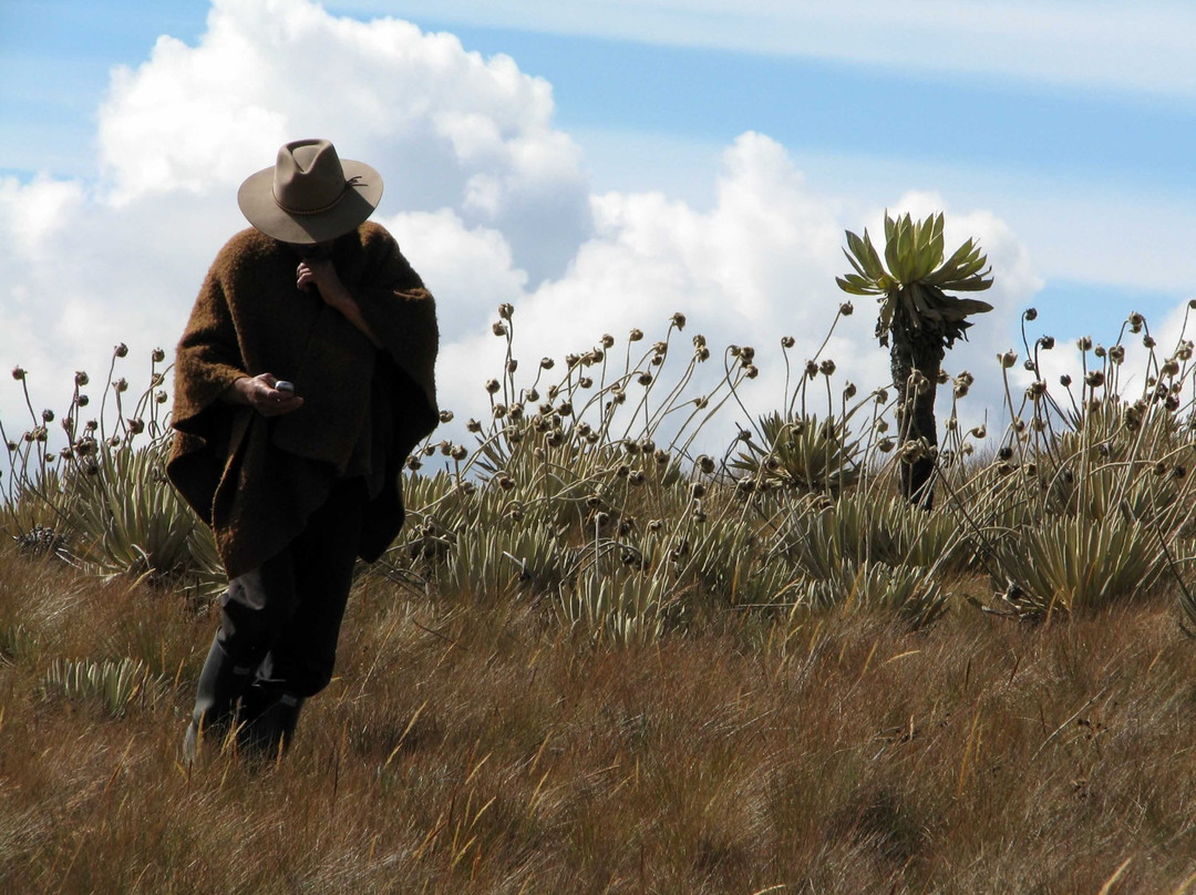 Colombian Highlands Tours & Expeditions-莱瓦镇必去景点