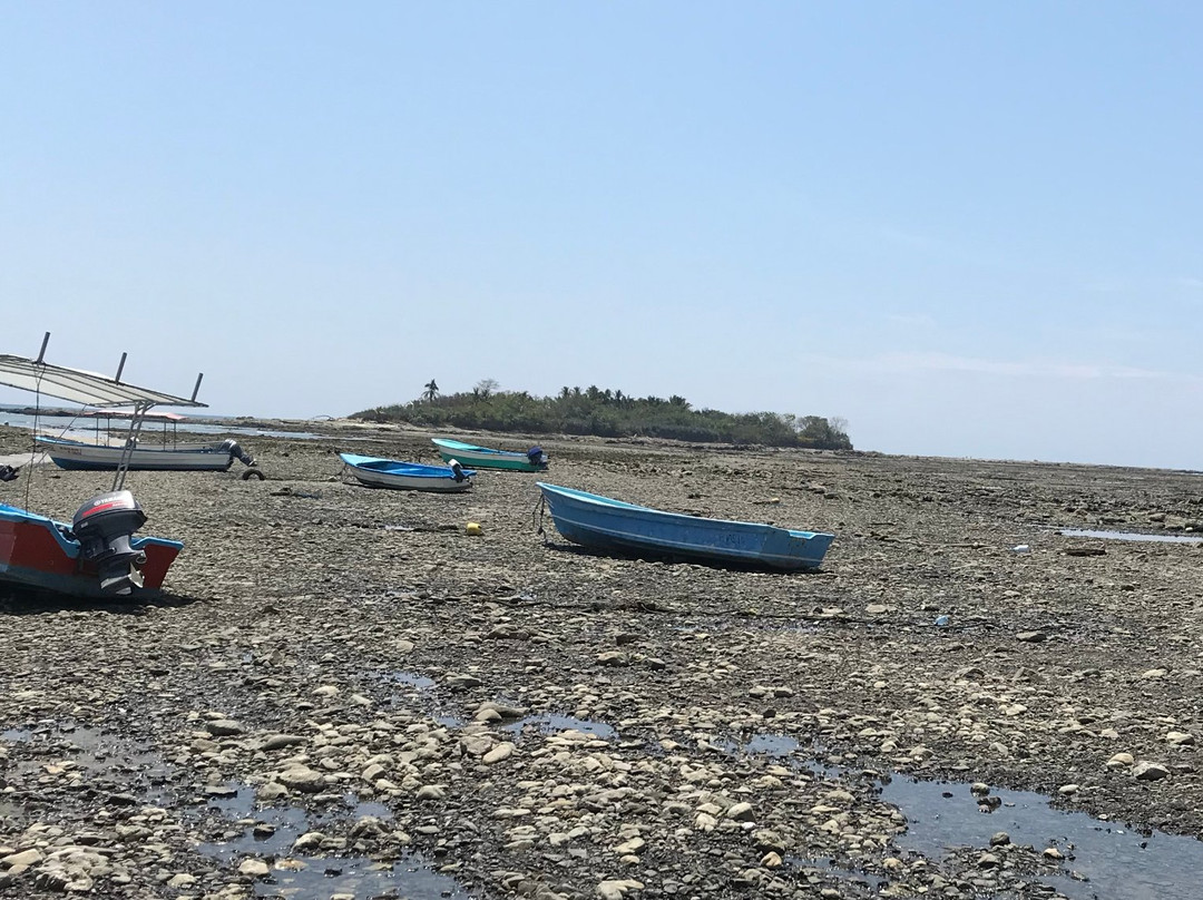 Mar Paraiso Fishing Tours景点图片