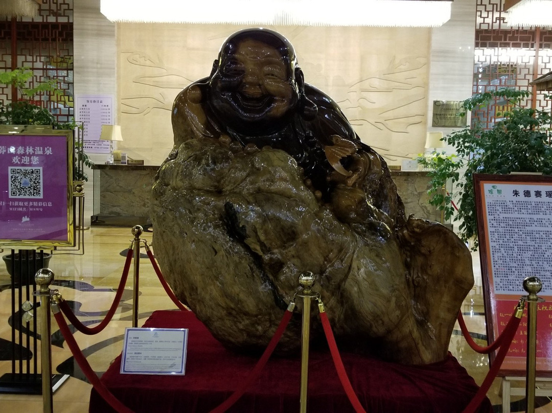 莽山森林温泉酒店主图