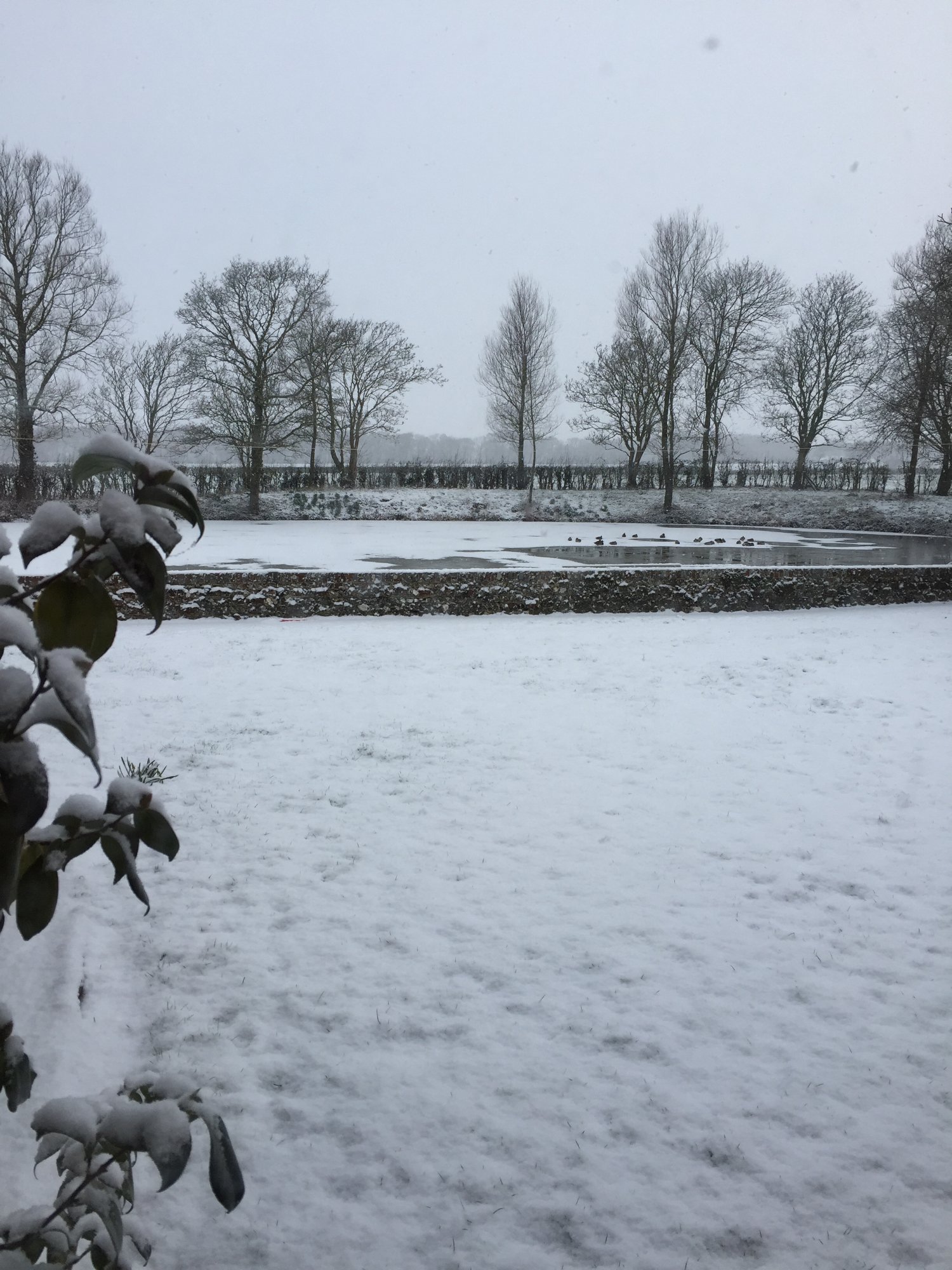 Lower Claverham Farm B&B-官方