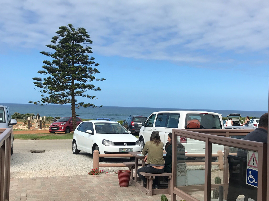 Sacremento Cannon-伊丽莎白港必去景点