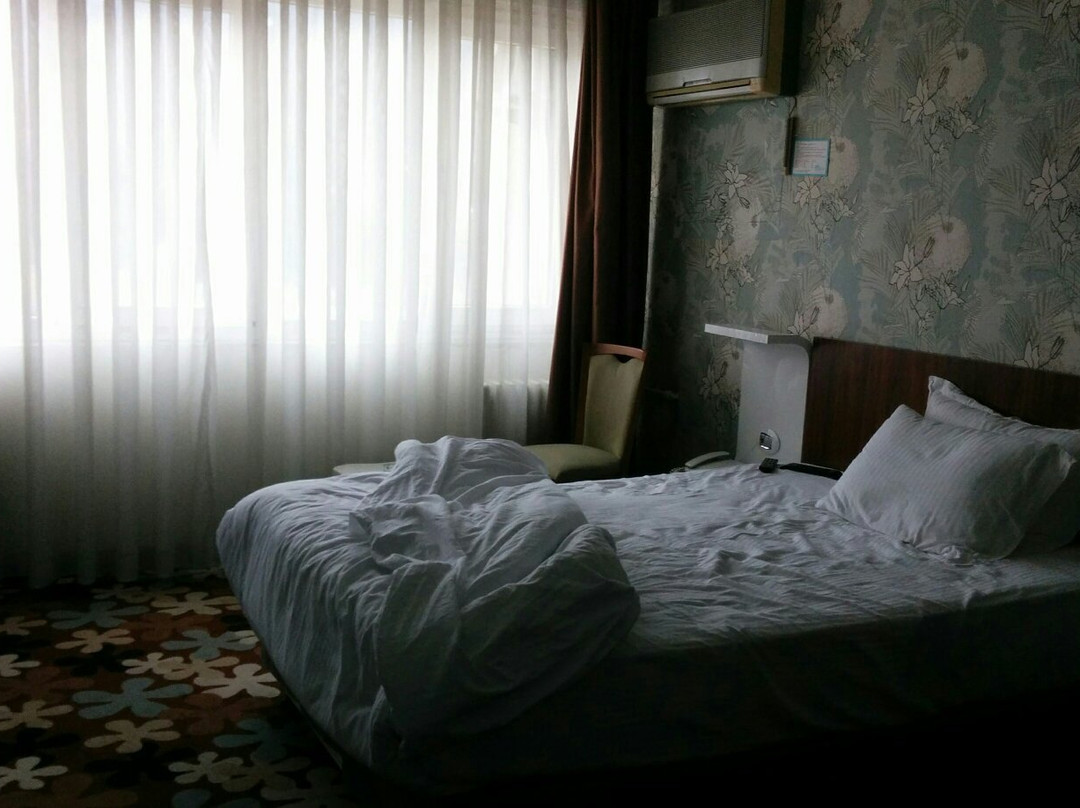 Buyuk Saruhan Hotel主图