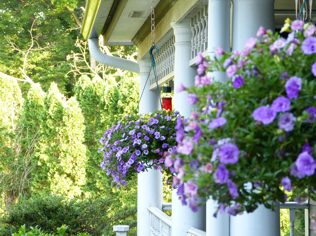 Hogan House at Rose Hill Bed & Breakfast主图