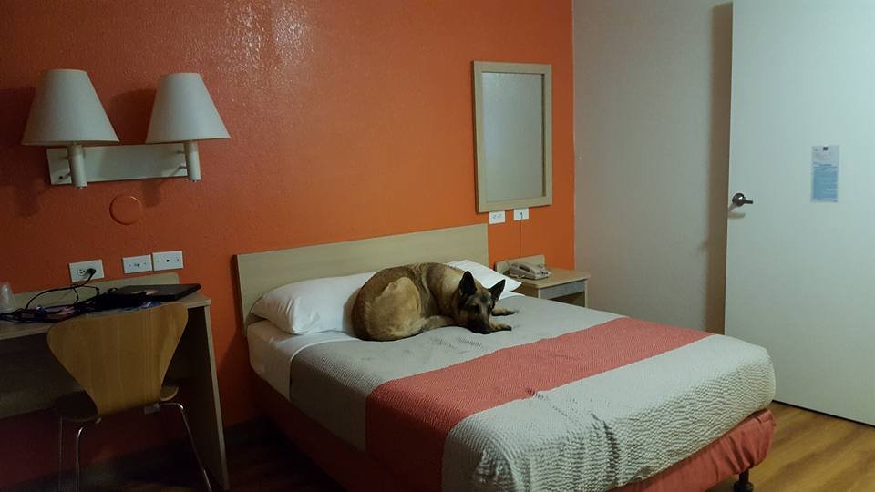 洛杉矶罗斯米德6号汽车旅馆-酒店景观