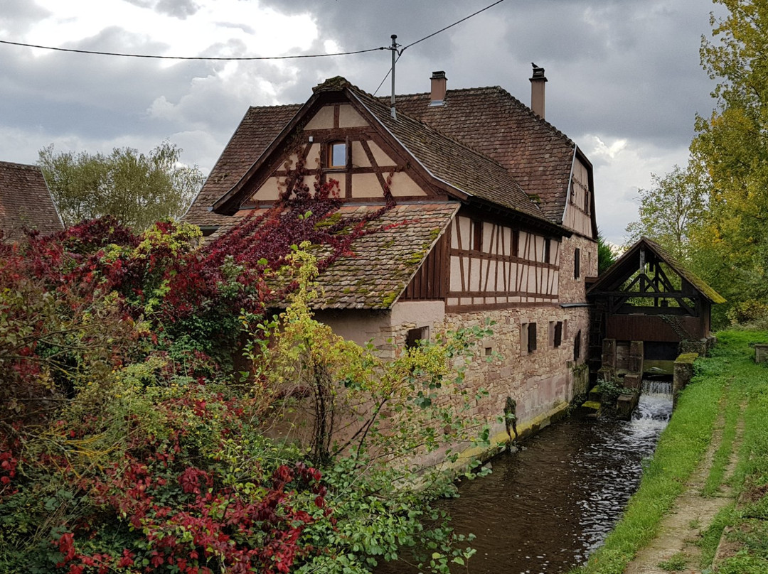 Le Moulin de Krautergersheim