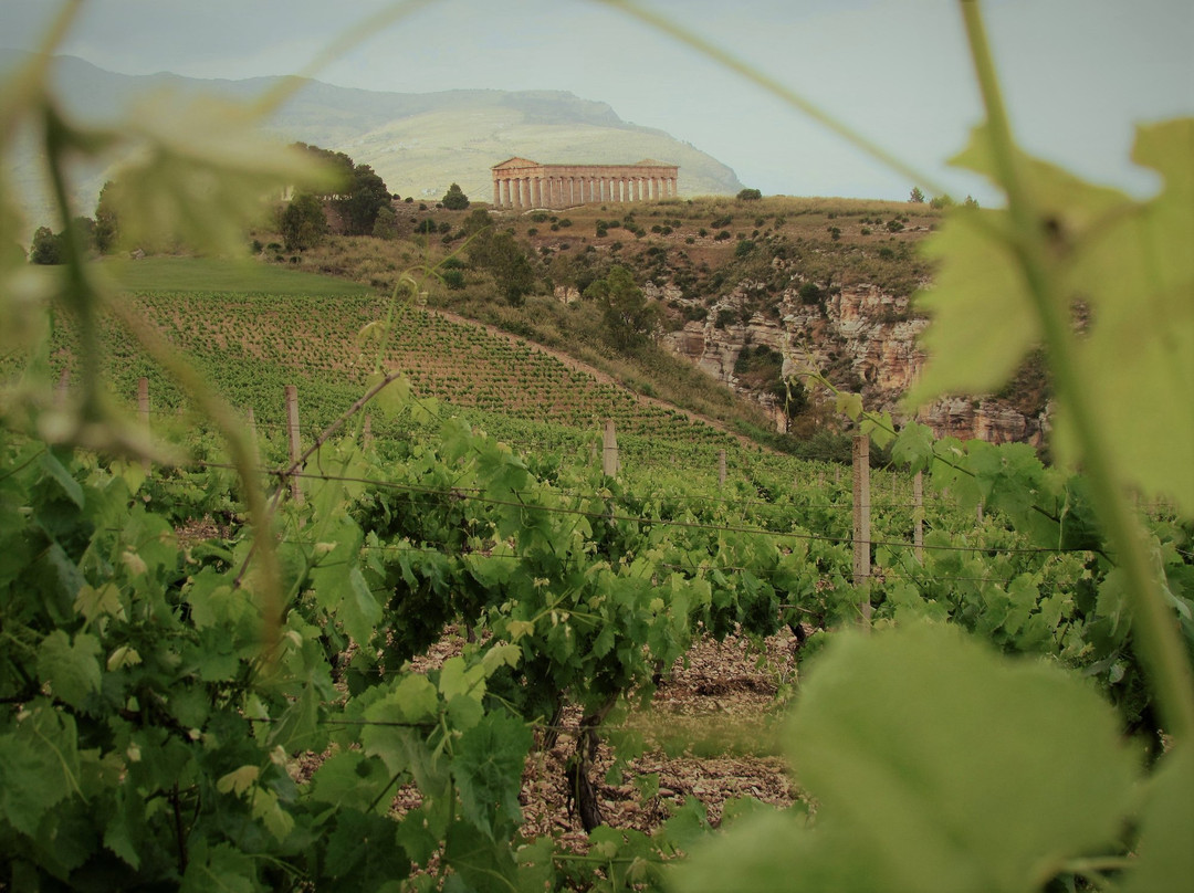 Paesaggio Sicilia-巴勒莫必去景点