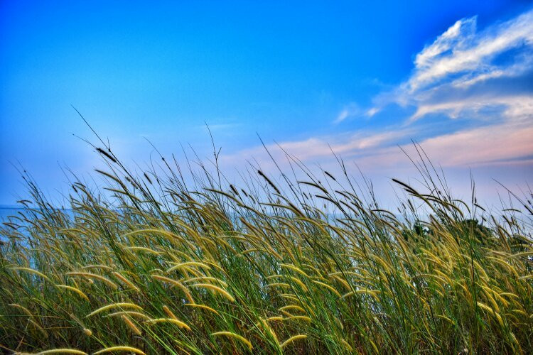 Parappally Beach-科泽科德必去景点