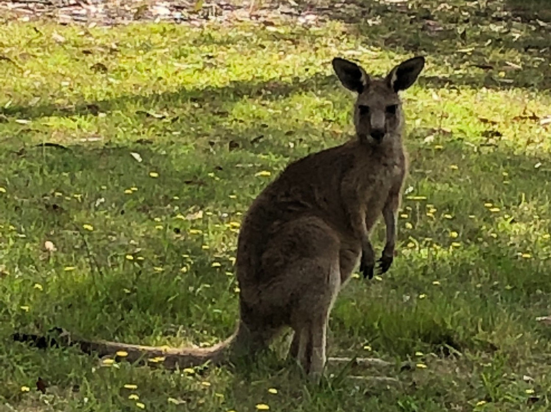 Eden Golf Course-伊登港必去景点
