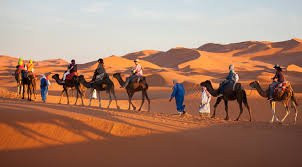 Morocco Enjoy Tours景点图片