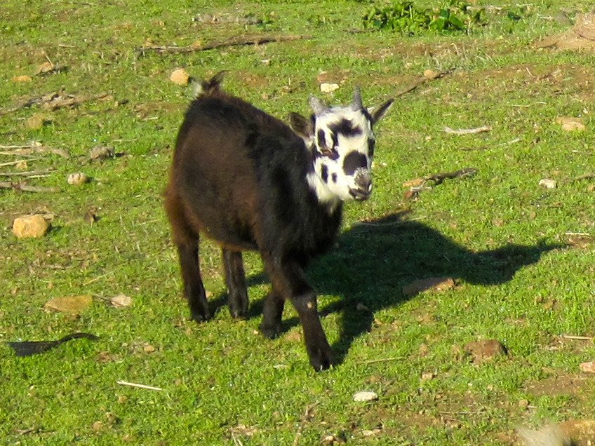 Quinta da Tapada de Sao Pedro主图