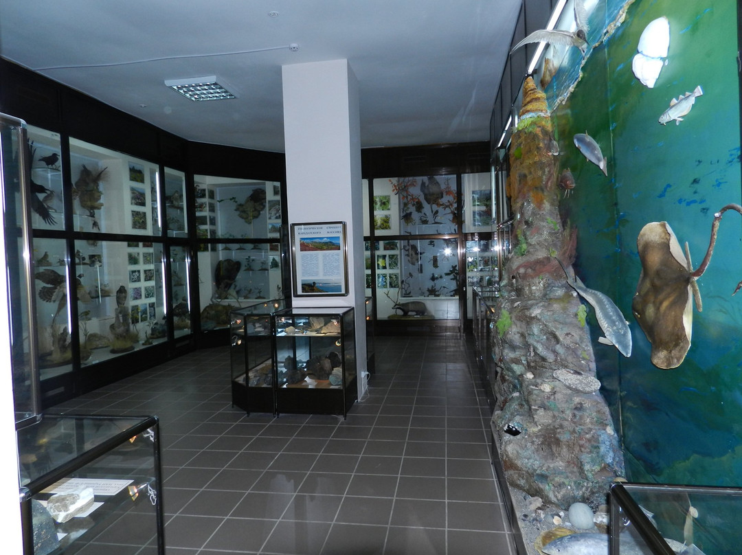 Museum of History and Nature of Karadag景点图片