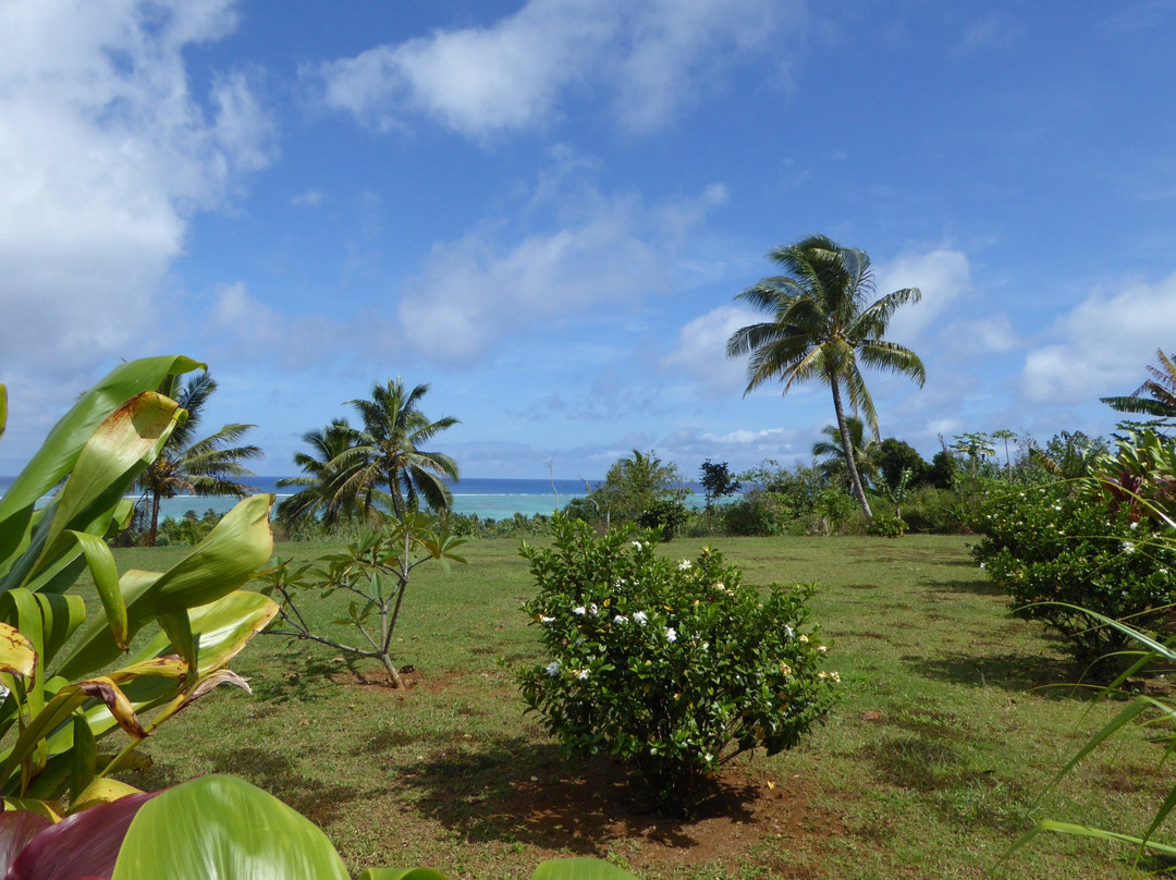 Aitutaki Punarei Culture Day Tour-艾图塔基必去景点