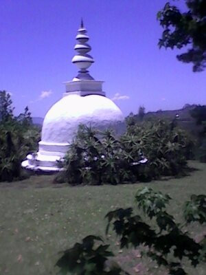 The Buddhist Retreat Centre-Ixopo必去景点