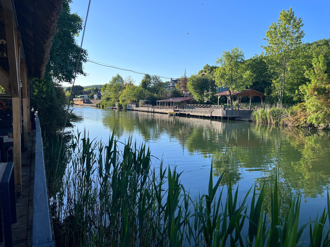 Dachas Cove Hotel主图