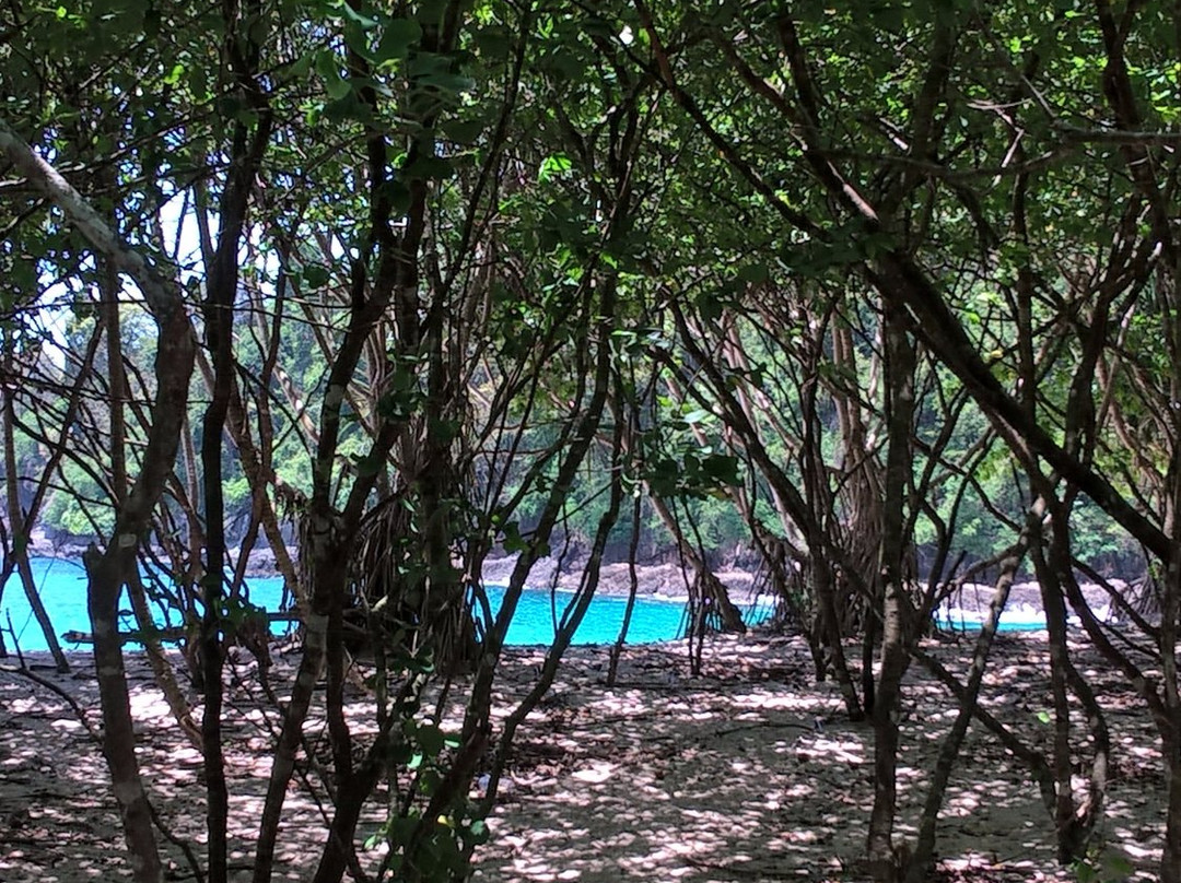 Teluk Hijau Beach-巴纽旺宣必去景点