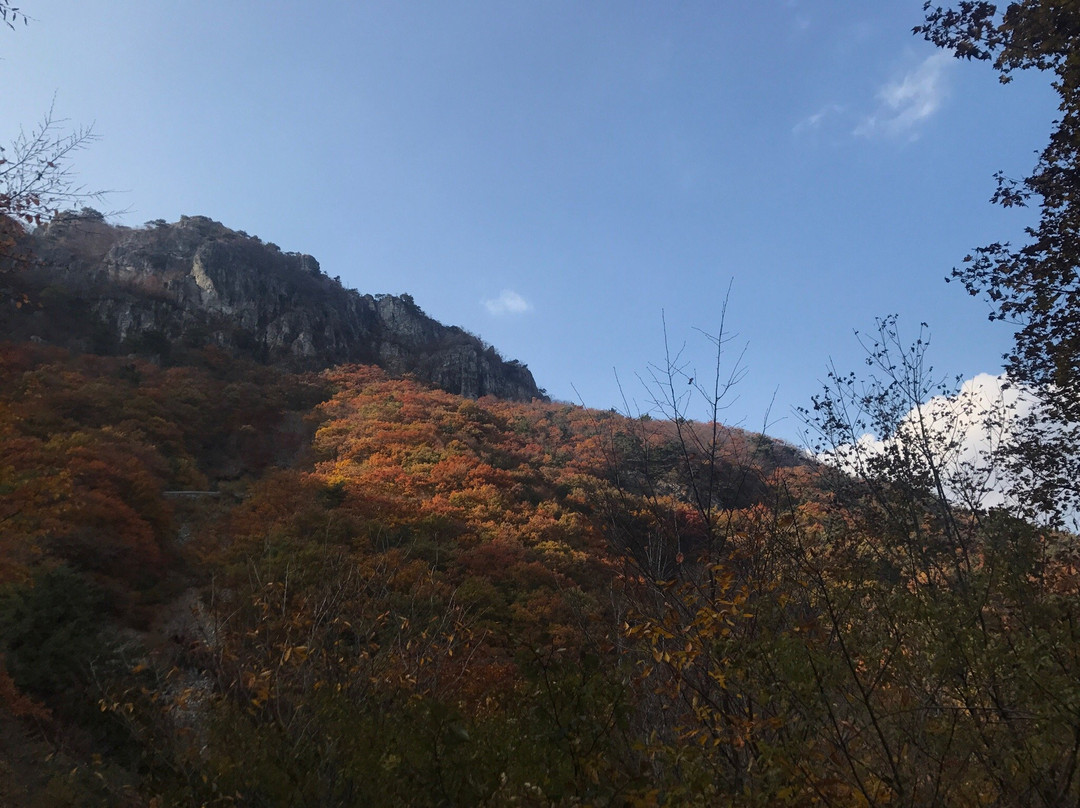 Ganwoljae Plateau-蔚山必去景点