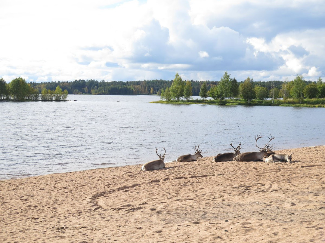 Visit Kemijärvi-Kemijarvi必去景点