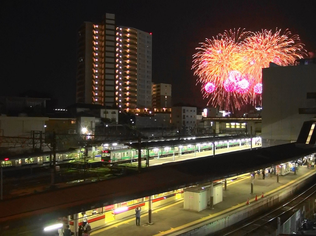Toride Tone River Fireworks-取手市必去景点