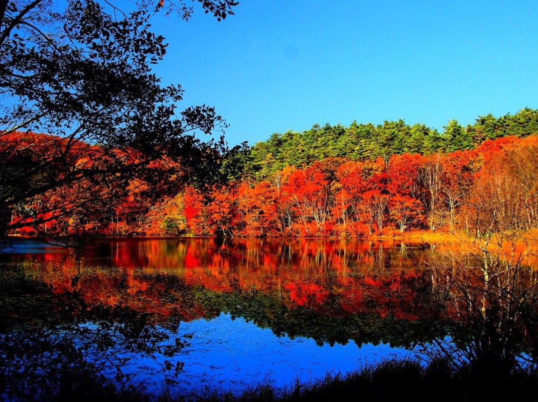 Tsunagi Onsen-盛冈市必去景点