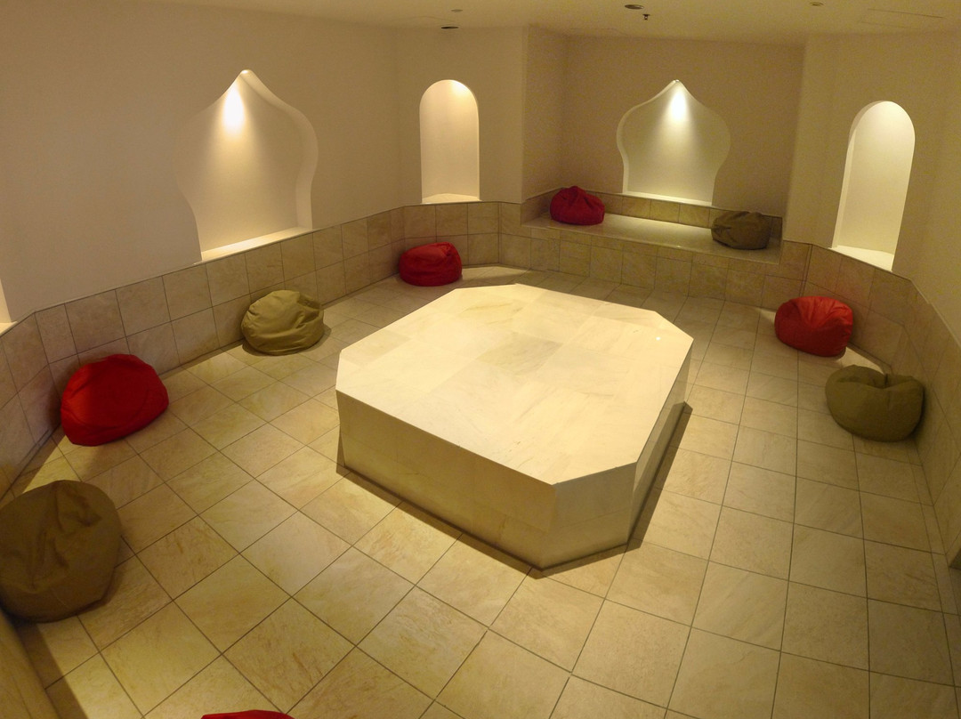 Kodaira Onsen Terme Ogawa-小平市必去景点