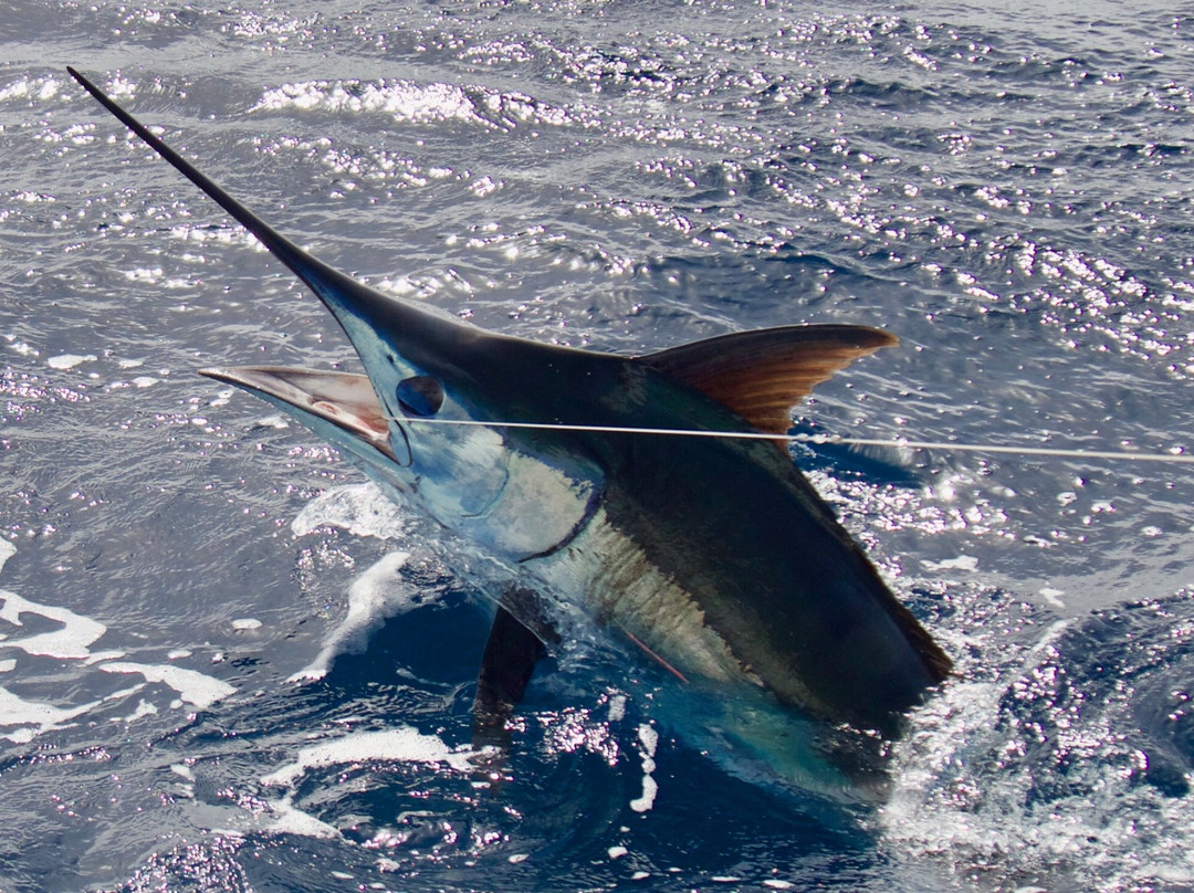 Makaira Adventure-明德卢必去景点