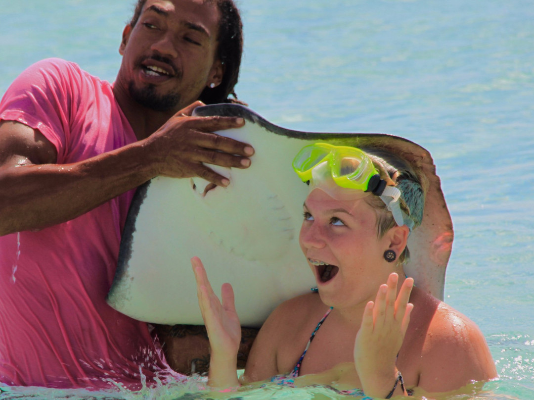 Ocean Vibes Scuba & Watersports-Grand Turk必去景点