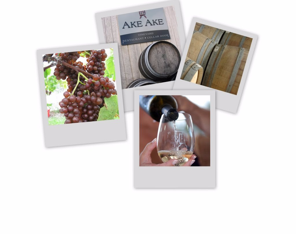 Ake Ake Vineyard-Kerikeri必去景点