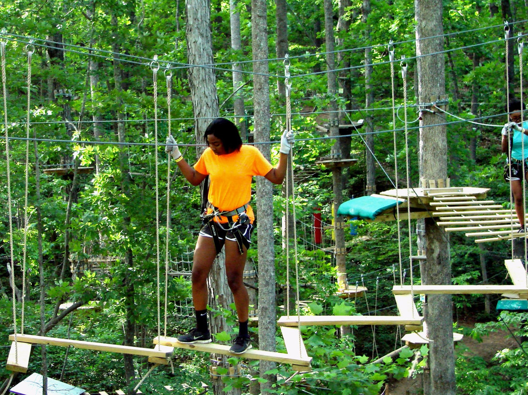 Treetop Quest Gwinnett-比福德必去景点