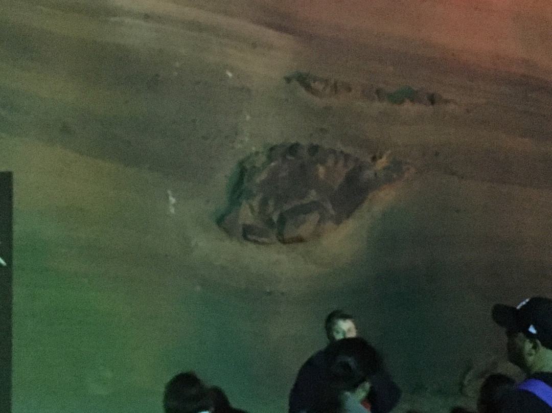 Avital Volcanic Park-Katzrin必去景点