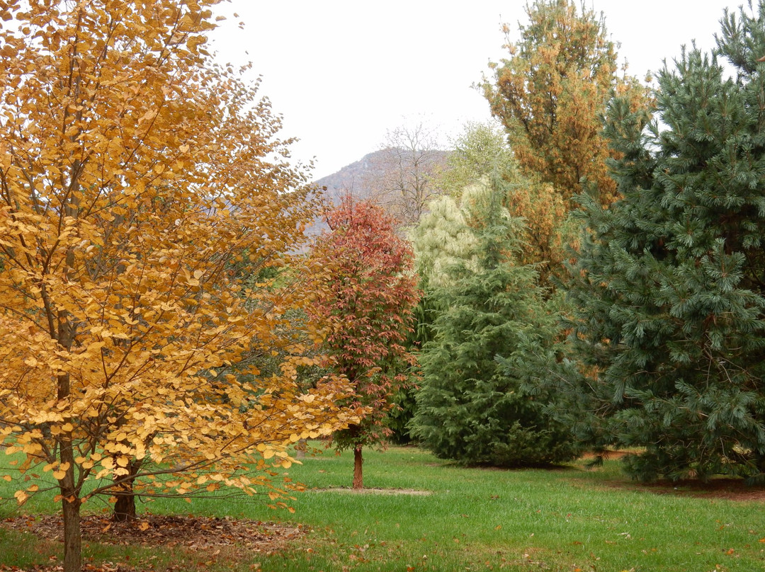 Birdsong Pleasure Garden-卢雷必去景点